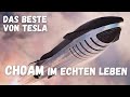 Ad Astra: Wird SpaceX-xAI-Tesla das echte CHOAM? Dune wird Realität!