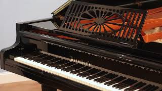 1925 Bösendorfer model 275 | Reflect | PianoWorks by PianoWorksAtlanta 294 views 3 weeks ago 1 minute, 56 seconds
