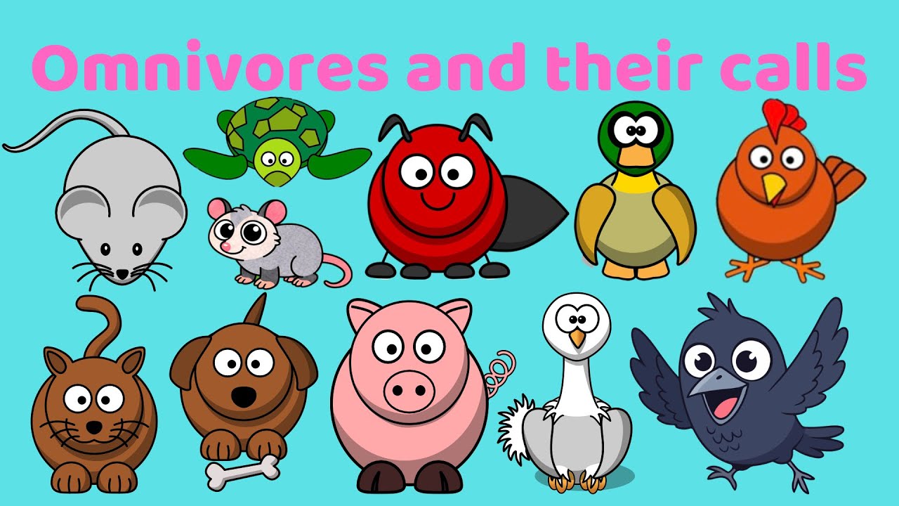 Omnivores and their calls: Pig, ant, dog, cat, crow - Animals