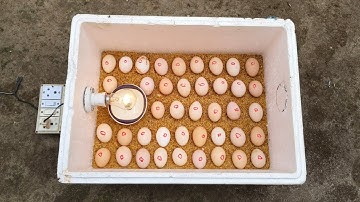 HOW TO MAKE INCUBATOR WITH YOUR OWN HANDS. BEST LOW COST HOMEMADE INCUBATOR FOR CHICKEN EGG - DIY