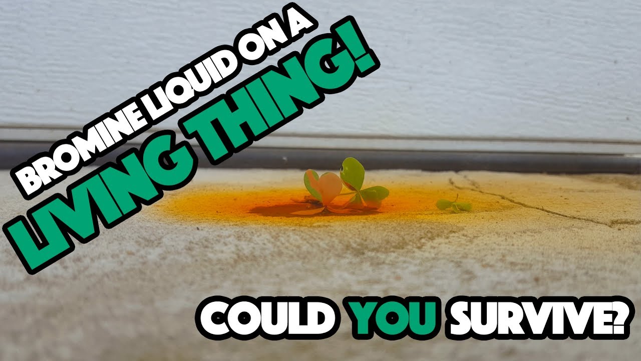 What Would Happen If Your Poured Liquid Bromine On A Living Thing?