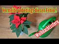 Mach nicht diesen Fehler beim Gießen vom Weihnachtsstern (Poinsettie)