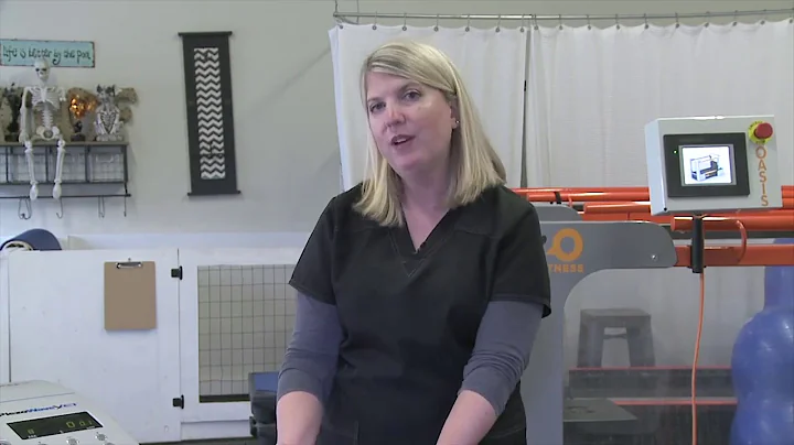 Heather Owen DVM Cruciate Rehab