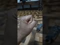 #funny