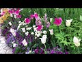 はままつフラワーパーク2018　Hamamatsu Flower Park の動画、YouTube動画。