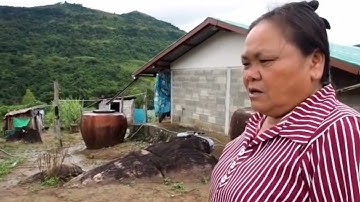 kev tshwm sim thaum pov qaib dib tuag  txawv txav ntau yam