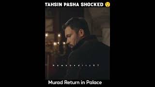 😱 tahsin Pasha shocked 😲 Murad return 🥵 Sultan AbdulHamid status #shorts #sultanabdulhamid #trt