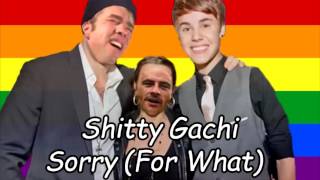Shitty Gachi - Sorry (For What)