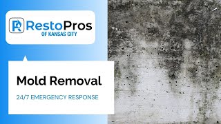Kansas City Mold Removal | RestoPros of Kansas City