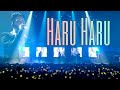 Haru-Haru Live at Seoul