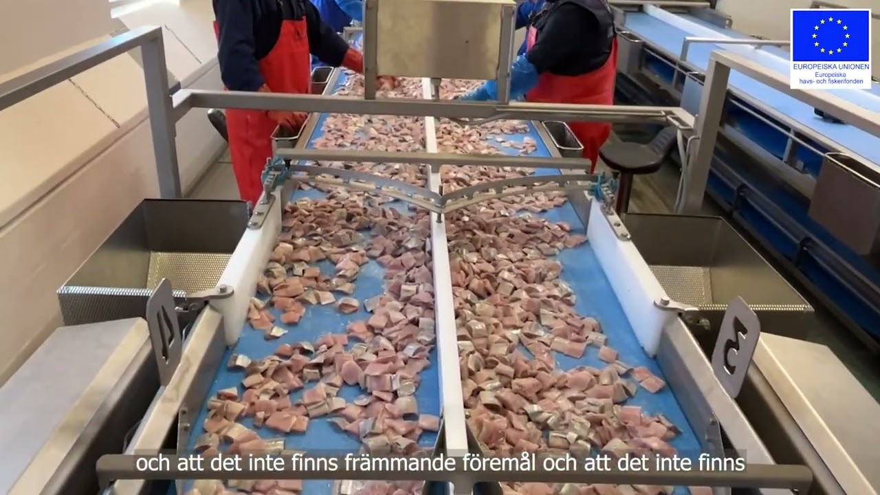 Sweden Pelagic Ellös 1080p