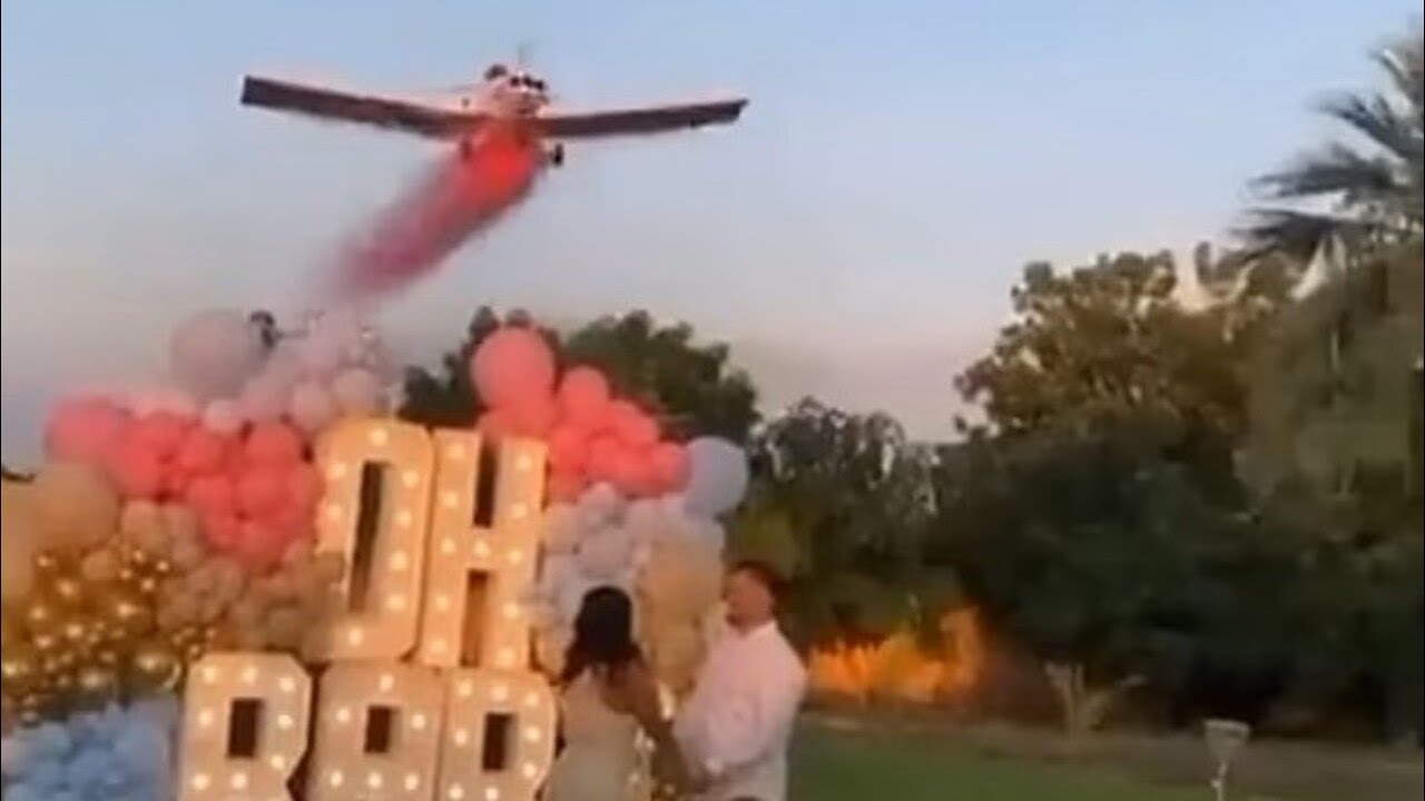 Pilot dead after gender reveal stunt ends in plane crash