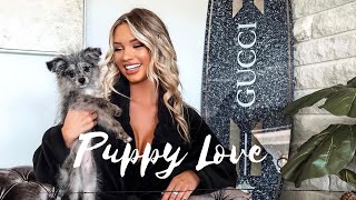 Puppies First Walk On A Leash Delray Beach Fl