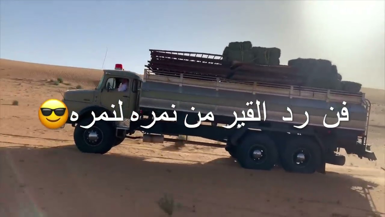 فن سواقة البوز في النفود للامير ناصر بن نواف ال سعود