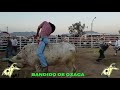 Son los Toros sin frontetas de Rancho El 24 De Carlos Sabino en Riverside california