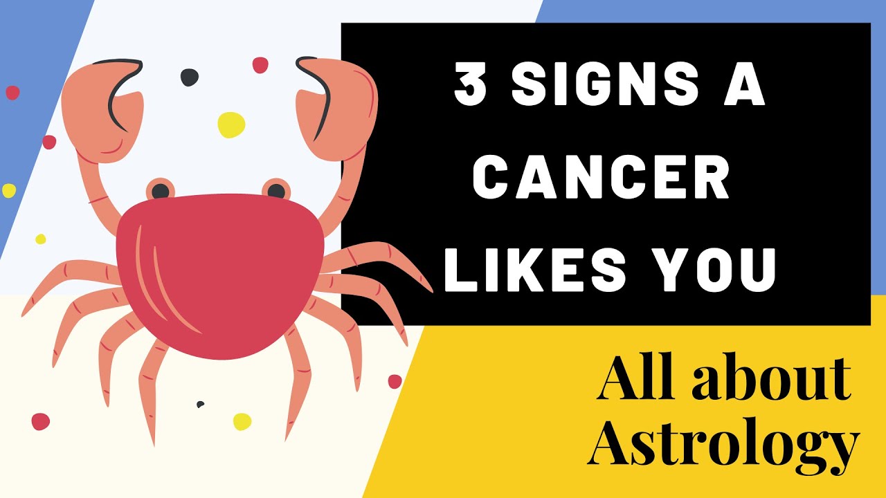 3 SIGNS A CANCER LIKES YOU - YouTube