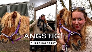 Het VERHAAL achter mijn ANGST voor paarden | VLOG #142 | Lifestylekimberley