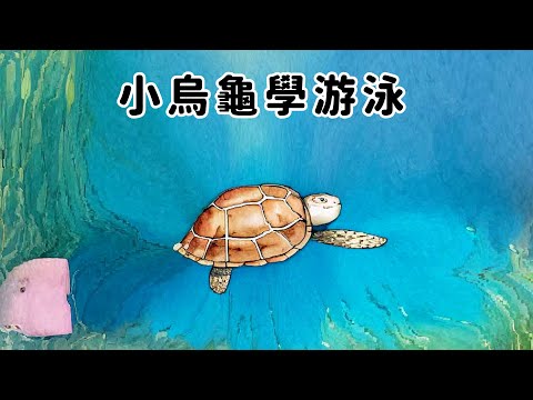 《小烏龜學游泳》little turtle learning to swim｜睡前兒童故事