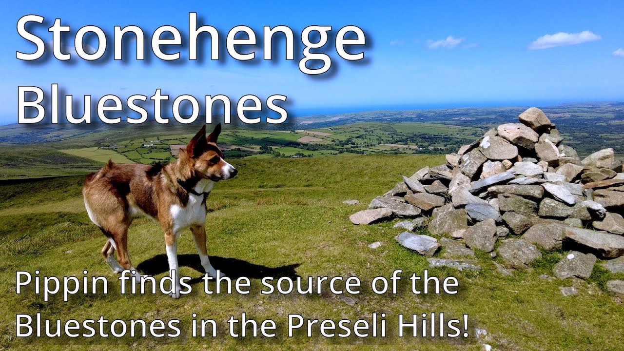 Pippin's Adventures - Preseli Hills June 2025