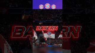 Bayern Munchen 2026 Song #football #bayernmunich #bayern #bayernfans #song #trending