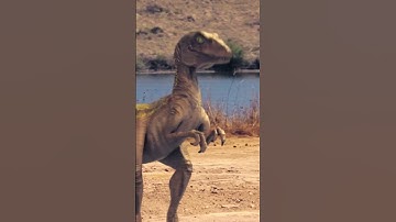 Thumbnail of Raptor scream