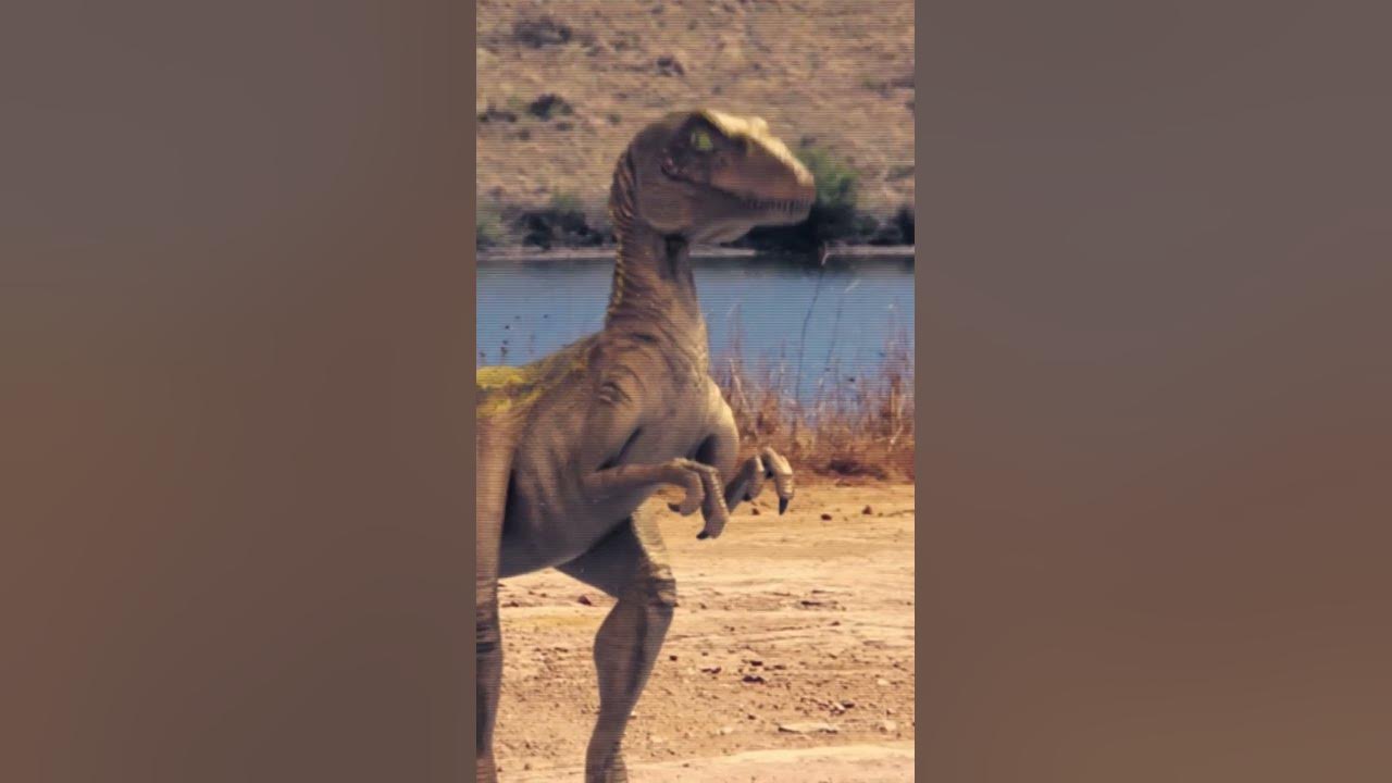 Raptor scream Raptor scream