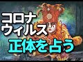 タロット占い　ー新型コロナウィルス/正体を占うー