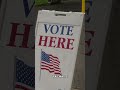 Early voting starts in Ga. runoffs that will decide fall matchups