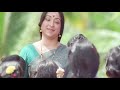 മനസ്സിന്‍ മടിയിലെ | Manassin Madiyile Song | Manathe Vellitheru | Lakshmi | Sreeraman | Johnson Mp3 Song