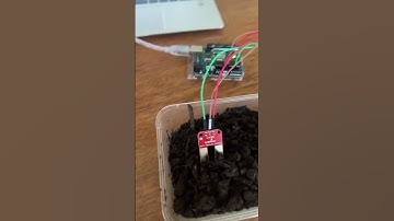 Arduino Soil Moisture Sensor