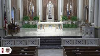 Holy Mass - Wednesday 12:05p