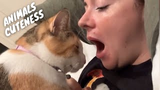 Pets Having a Hilarious MELTDOWN! | Try Not To Laugh Challenge!