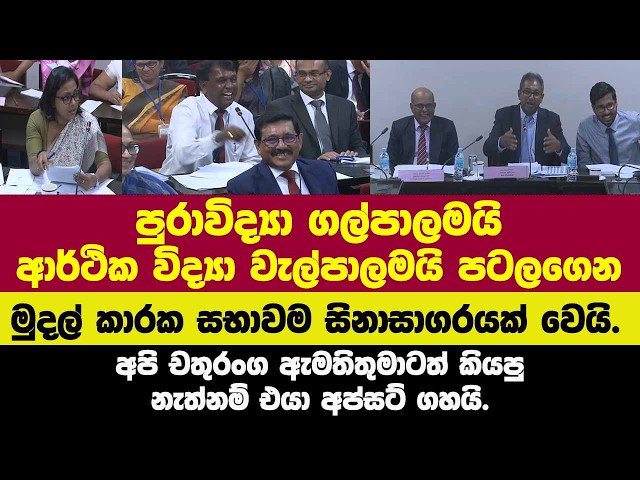 පුරාවිද්‍යා ගල්පාලමයි ආර්ථික විද්‍යා වැල්පාලමයි පටලගෙන මුදල් කාරක සභාවම සිනාසාගරයක් වෙයි.