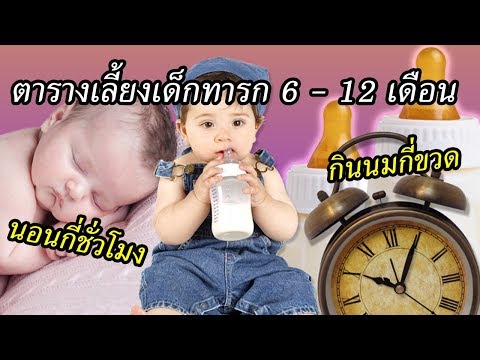 วิธีเลี้ยงเด็กทารก : ตารางเลี้ยงทารก 6-12 เดือน | ให้นมลูก | เด็กทารก Everything