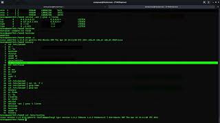 Famous TryHackMe #345 Linux PrivEsc Net Worth