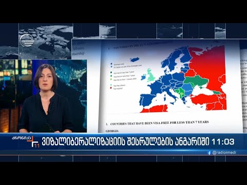 ვიზალიბერალიზაციის შესრულების ანგარიში