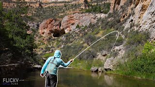 Backpacking the Most Incredible Canyon I've Ever Seen | Fishing for Wild Trout (Day 1)