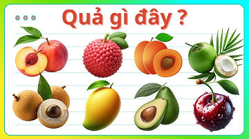 Cùng bé học tiếng Anh với những loại trái cây! 🍓🍋