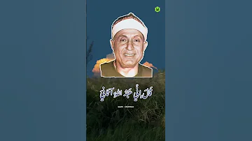 سورة مريم تلاوة مباركة لفضيلة الشيخ هاشم هيبة Shorts Quran 