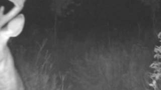 ETS 9 Point Buck