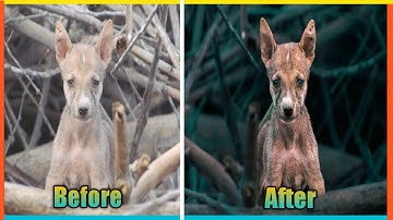 The Secret Way to Get Pro Level Color Grading with Camera Raw Masking#tutorial#viralvideo #nature