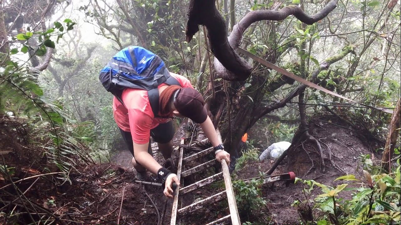 Hiking Gunung Nuang | Hulu Langat | Unexpected Things Happened - YouTube