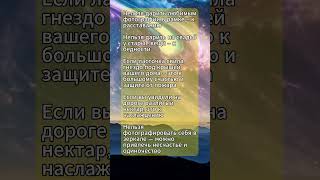 Приметы #19