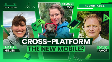 Is Cross-Platform The New Golden Strategy? Spoilers: No - The Metacast by Naavik