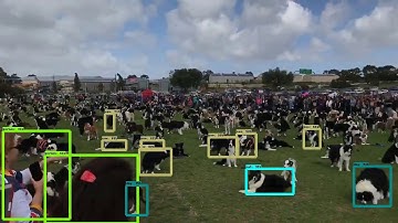 Tensorflow Object Detection API using faster_rcnn_inception_resnet_v2_atrous_coco_11_06_2017