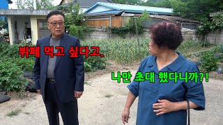 팬 결혼식 가는데 뷔페 먹는다고 계속 따라온다면?