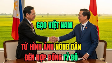 Kỳ Tích GẠO: Từ Nông Dân Nghèo Đến Hợp Đồng Tỷ Đô Khiến PHILIPPIN Nể Phục