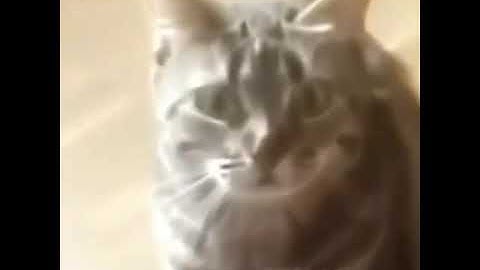 Controller disconnected