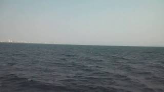 Ко Лан Паттайя ПАРОМ...