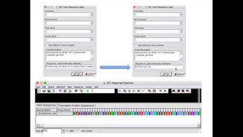 MEGA X: Choosing and Acquiring Sequences Part 1